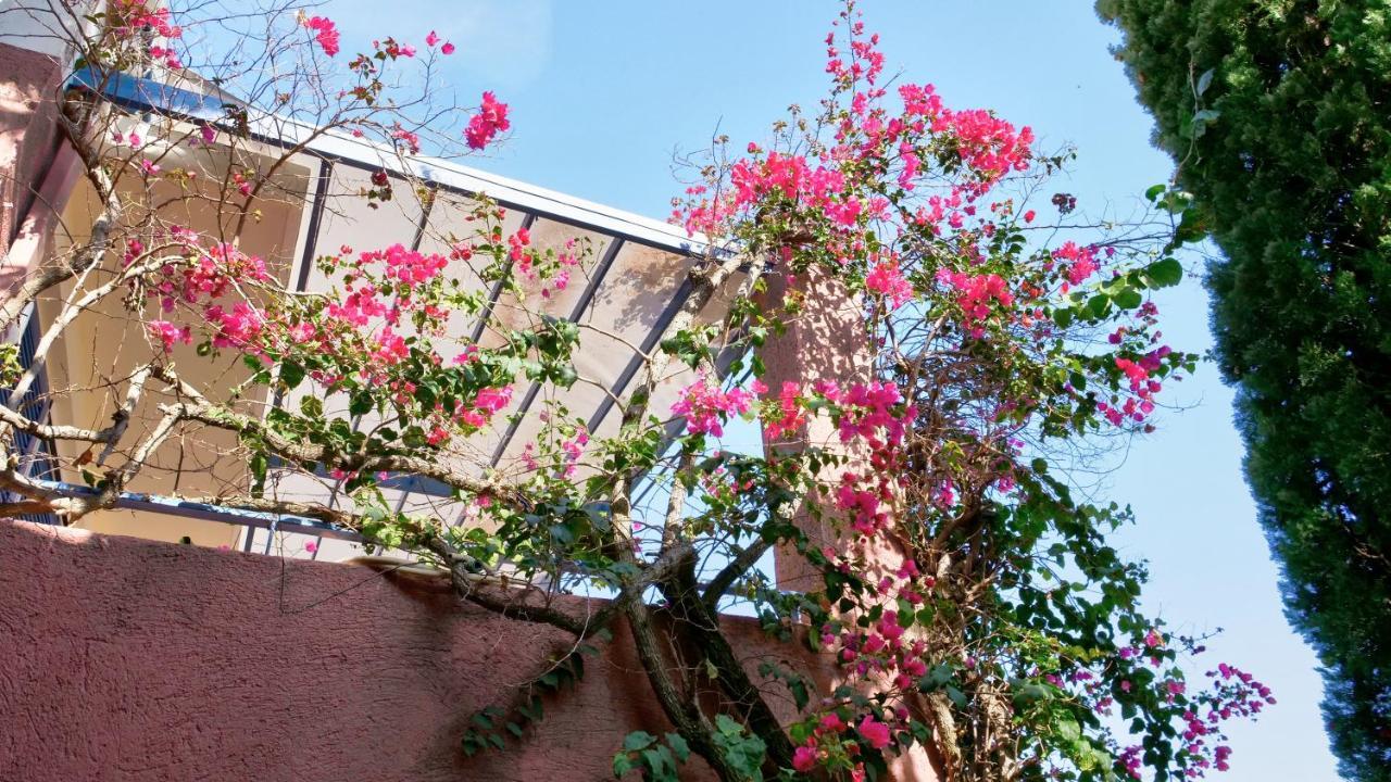 Best View Apartment 1. Barbati Exterior photo